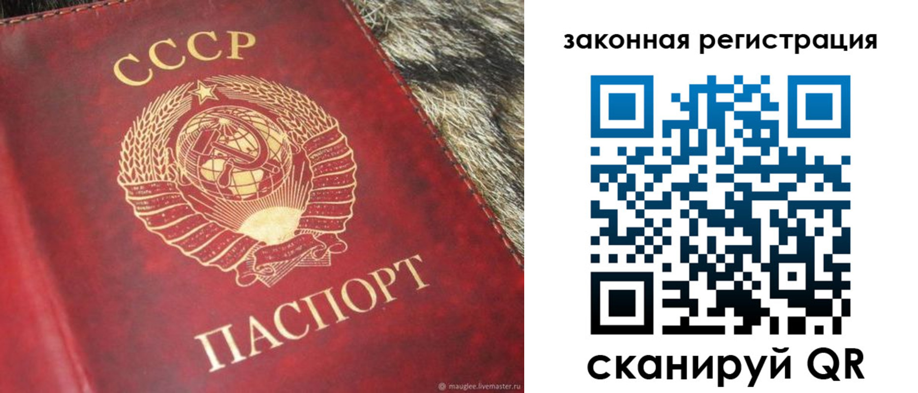 прописка от собственника в Ясногорске